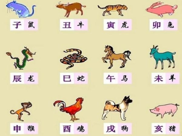 父亲和孩子生肖属相（爸爸属蛇孩子属虎相冲吗）