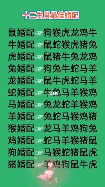 生肖属相对（属相对照表：新手生肖配对一看就懂）