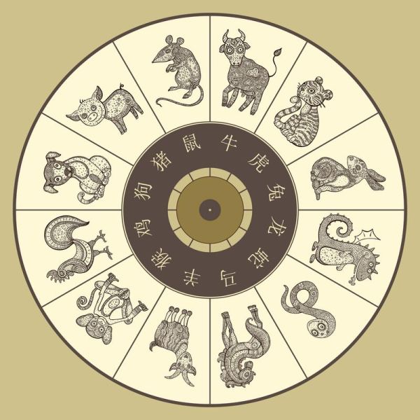 辛癸什么生肖属相（辛癸年出生属什么生肖？）