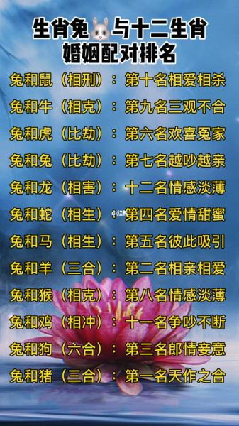 生肖属相配对姻缘直播（生肖属相配对姻缘直播到底在播什么？小白必看）
