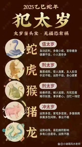 龙年太岁生肖有哪些属相（龙年犯太岁的属相查询方法 ）