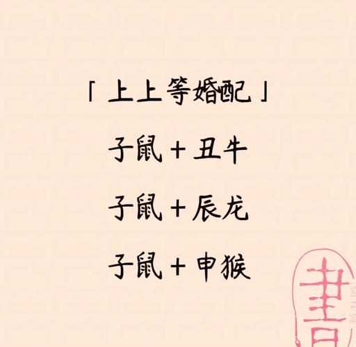 鼠的生肖属相婚配（鼠生肖最吉利婚配表）