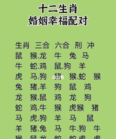 婚姻派对属相有哪些生肖