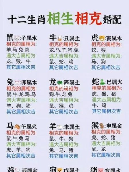 生肖属相相忌表（2024最新生肖相冲相克对照表）
