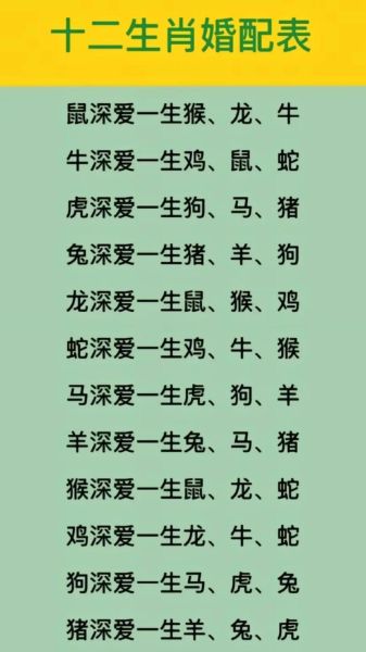 生肖猪 属相羊（生肖猪和羊合不合婚👫）