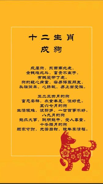 甲戌属什么生肖属相（甲戌年属什么生肖？新手最实用指南）