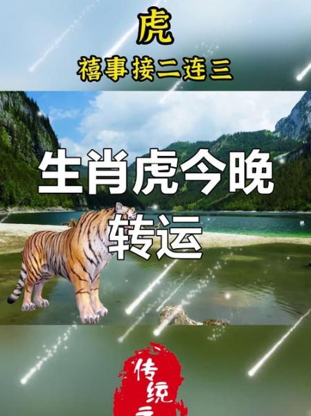 许世友生肖属相（许世友属什么🐯新手也看得懂）