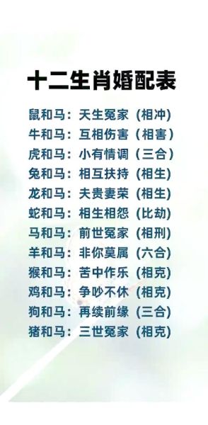 马属相代表什么生肖呢（马属相代表什么生肖）