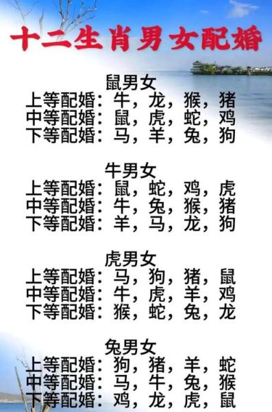 生肖与属相相配表（2025年最全新生肖配对表）