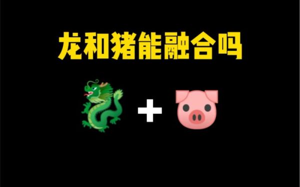 生肖龙和生肖猪属相合吗（龙和猪属相合不合婚姻）