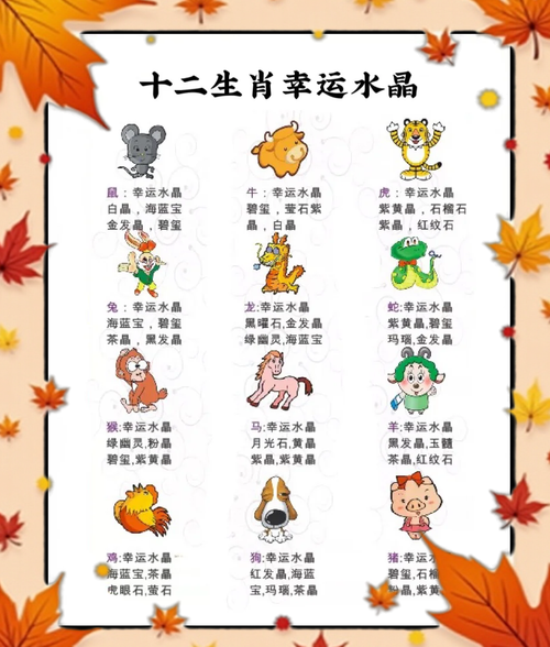 生肖属相适合配饰（生肖属相适合佩戴什么？）