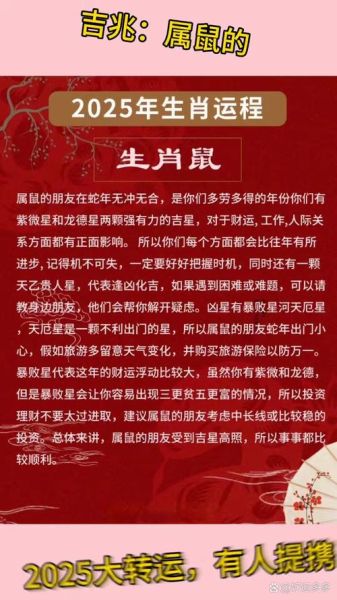 属相鼠的生肖好吗（属鼠的人命好不好？一看就懂的入门指南）
