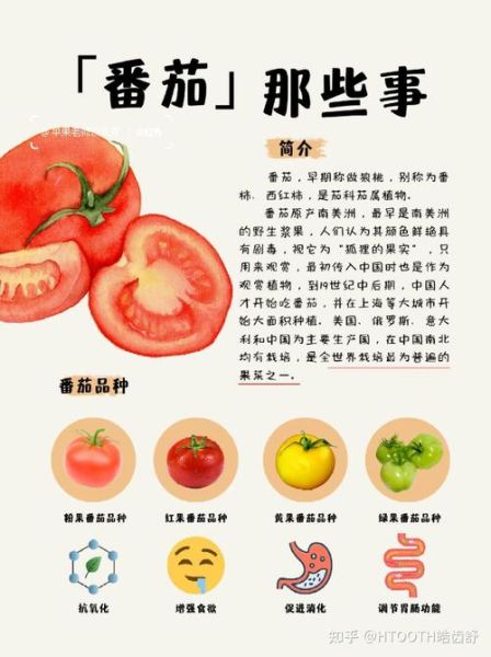 西红柿的生肖属相（西红柿代表什么生肖属相）
