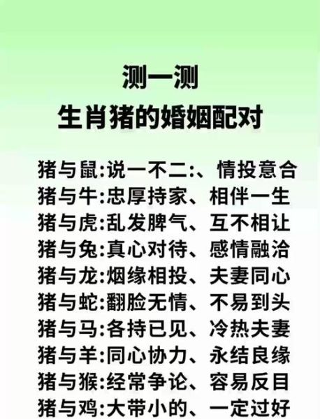 生肖猪喜欢什么属相最好（生肖猪最佳配偶属相是什么？）