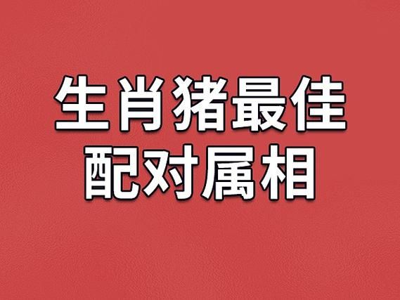 生肖猪女生配对的属相（生肖猪女最配什么属相）