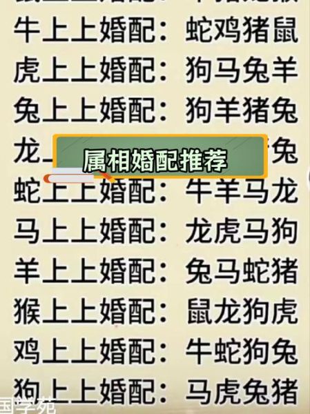 生肖配偶属相查询表（生肖配对准吗？新手指南一次看懂）