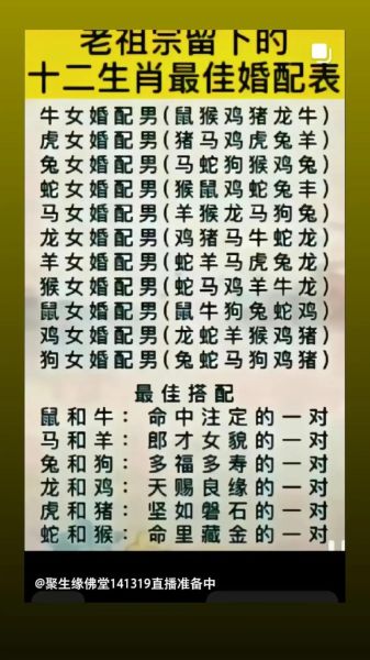 龙蛇生肖最佳配对属相（龙蛇生肖最佳配对属相排名）