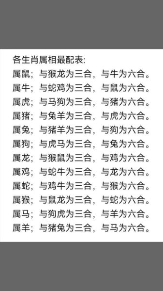 阿狗属什么生肖属相（阿狗属什么生肖属相？看完秒懂！）