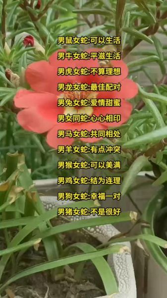 蛇婚配哪些生肖和属相（蛇婚配哪些生肖最合拍？绝配大公开）
