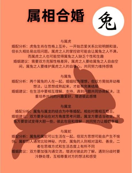 生肖兔的属相婚配（生肖兔最配的三大属相是谁🐰💍）
