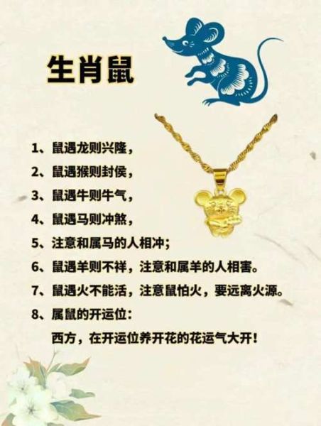 雷同属相是是生肖（雷同属相是是生肖😂新人避坑指南）