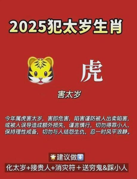黑客属什么生肖属相