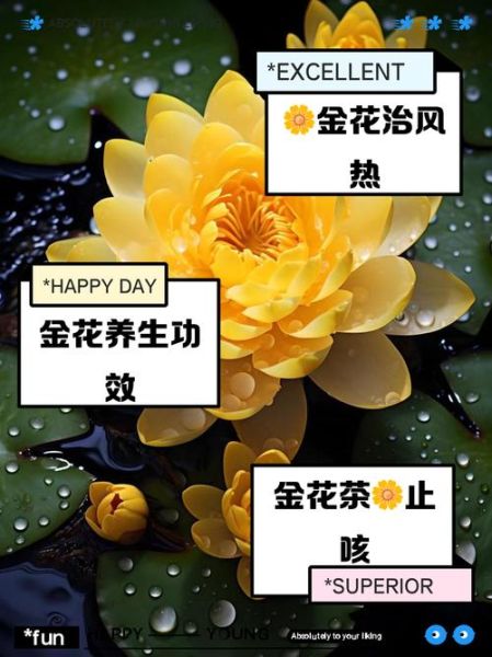 金花属什生肖属相呢（金花是属什么生肖的？）