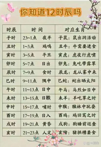 生肖属相时辰大全（生肖属相时辰对照表查询大全）