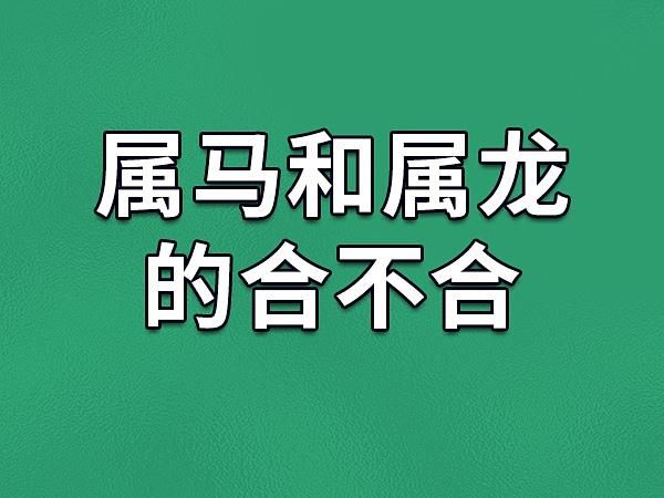 生肖龙和生肖马属相合不合（属龙和属马的人在一起合不合）