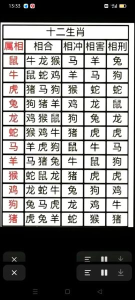生肖属相配对评分（生肖属相配对评分表怎么看？新手速查版）