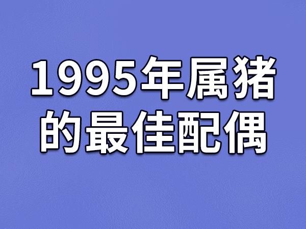95属相属什么生肖（1995年属什么生肖？一图秒懂你的本命🐷）