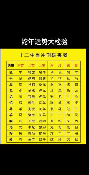 蛇生肖最好的属相（蛇生蛇的人最佳配对属相）