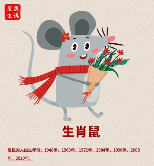 鼠属相代表什么生肖（鼠属相代表什么生肖？一文看懂🐭）