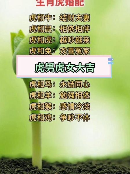 虎最佳生肖属相配对（属虎的最佳婚配属相是谁）