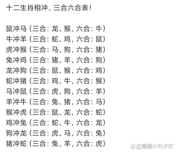 生肖猴孩子属相猪（生肖猴孩子属相猪真的相冲吗？）