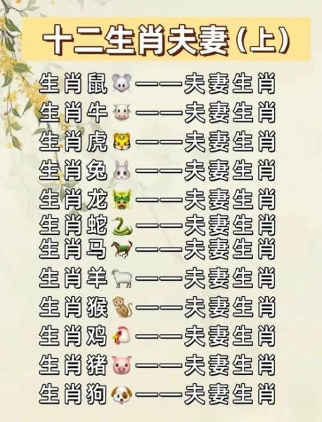 龙年跟什么生肖属相（龙年不能配哪些生肖❓配对新手指南）