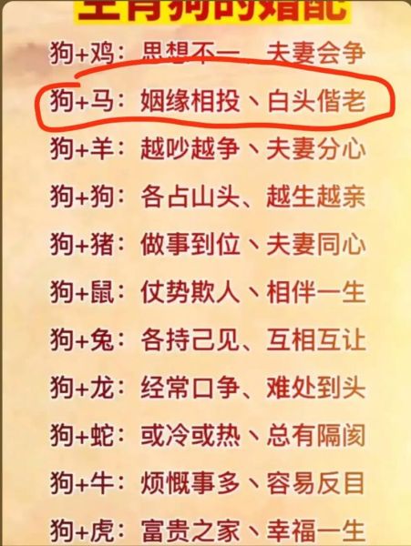 风水属相狗配什么生肖（属狗最佳婚配属相是什么）