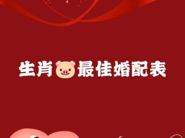 生肖猪的配合属相（生肖猪最配什么属相？）