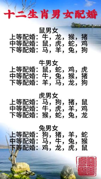 生肖相配的属相表（生肖相配的属相表怎么看？）