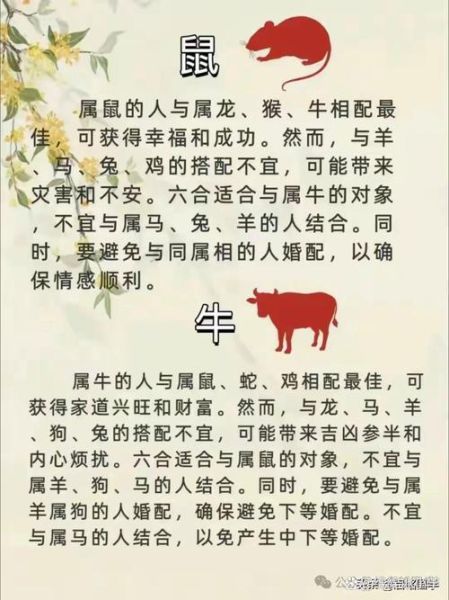 顾况生肖属相（顾况生肖是什么）