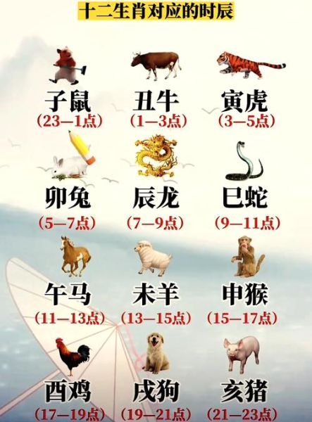 都有哪几个生肖属相（12生肖顺序表口诀新手版）