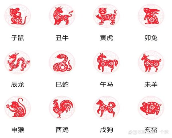 现代生肖有哪些属相