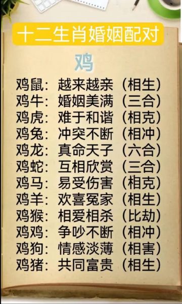 生肖鸡的配合属相（生肖鸡最佳婚配属相指南）