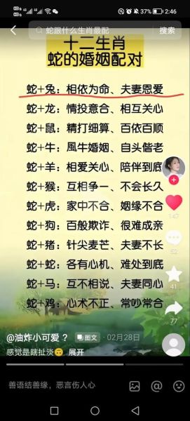 生肖蛇与哪个属相不合（生肖蛇和什么生肖最不合？）