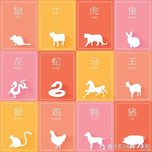 属相大帅的生肖（属相大帅的生肖是什么动物）