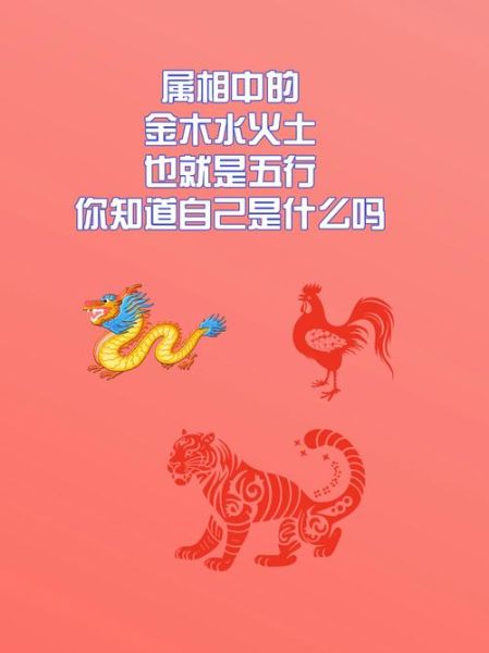 梦到自己生肖属相在额头