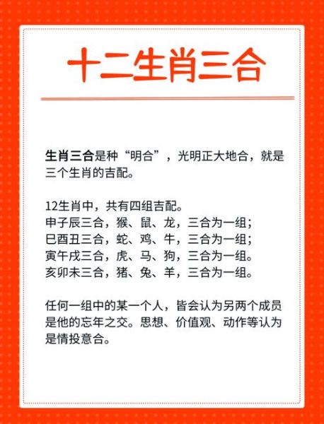马配什么生肖属相（马和什么生肖最配？）