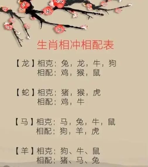 兔年对冲生肖是什么属相（兔年对冲生肖是什么属相？）