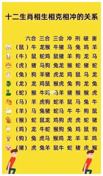 生肖狗哪个属相相冲（生肖狗冲什么属相？新手一看就懂）