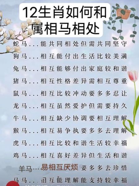 人类怎么理解属相和生肖（属相和生肖到底啥关系）